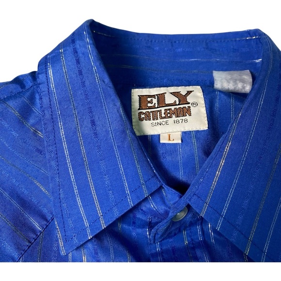 Ely Cattleman Blue and Silver Striped Men's Blue Shirt, L - Picture 4 of 12